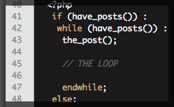 Thumbnail for #91: The WordPress Loop
